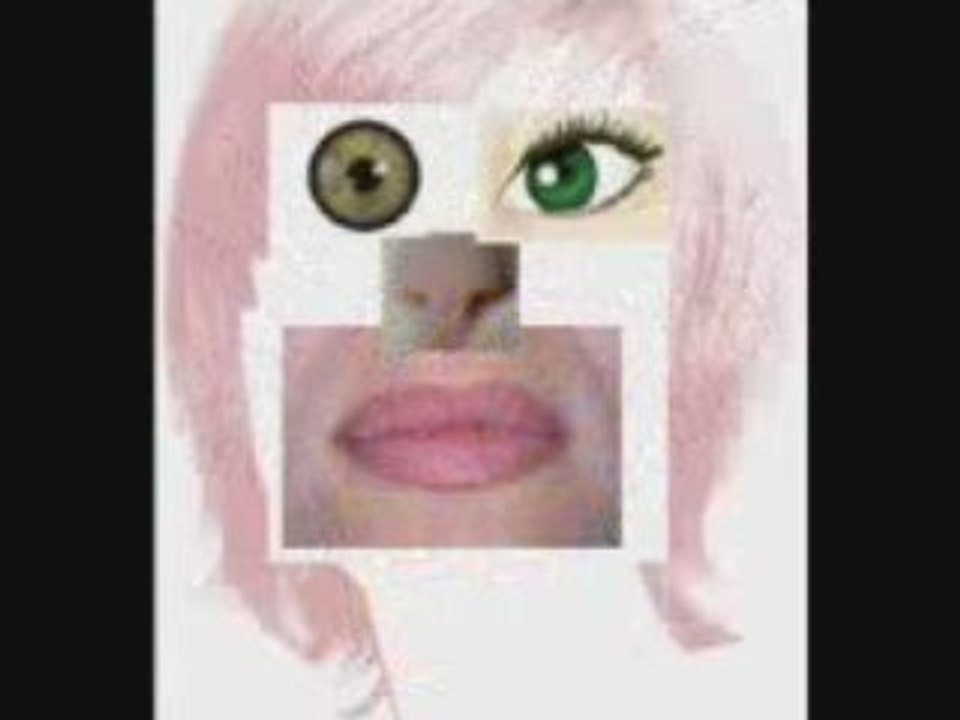 Le Collage Pour les Nuls