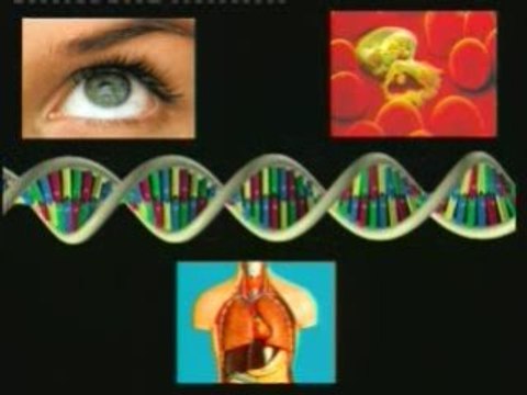 La Chute Du Darwinisme (Harun Yahya) - Partie 1 - 2