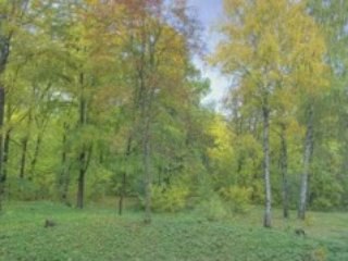 One year in 40 seconds