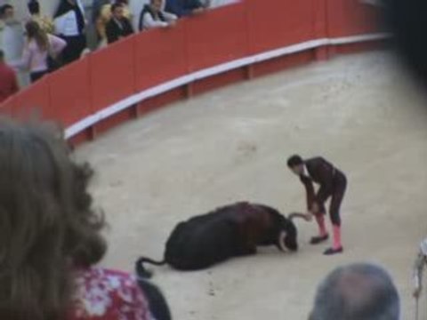 La corrida | Franky Joé Texier | Animation Music | guitare
