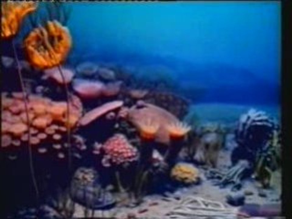 La Chute Du Darwinisme (Harun Yahya) - Partie 3 - 1