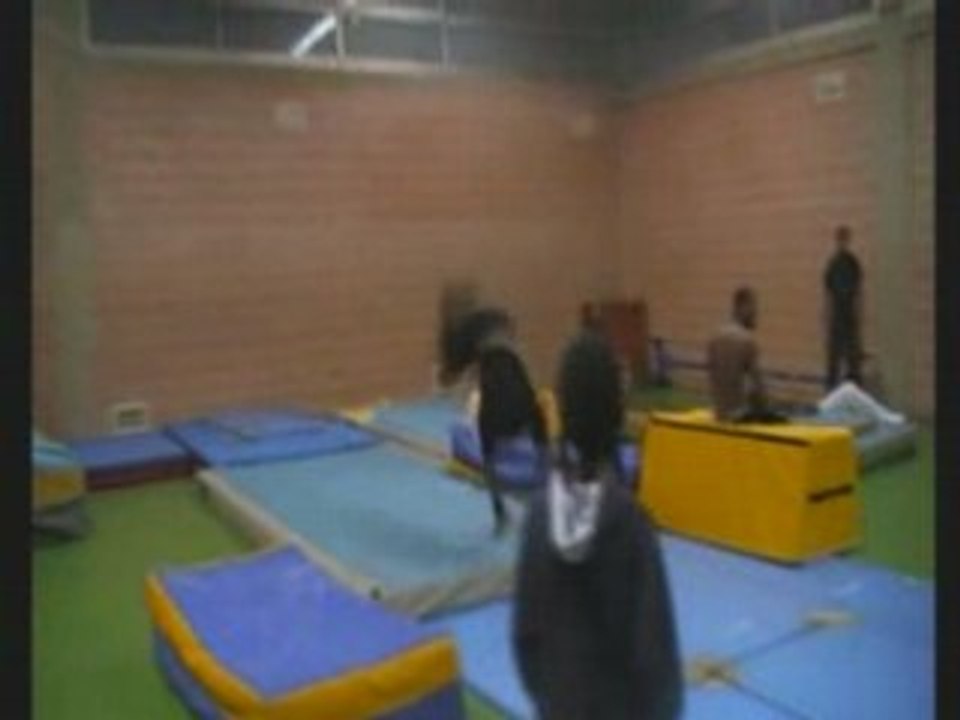 Flyson 2009 TEasER