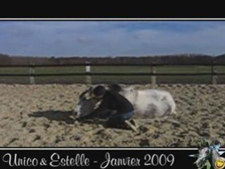 Unico, Jan. 2009, Coucher