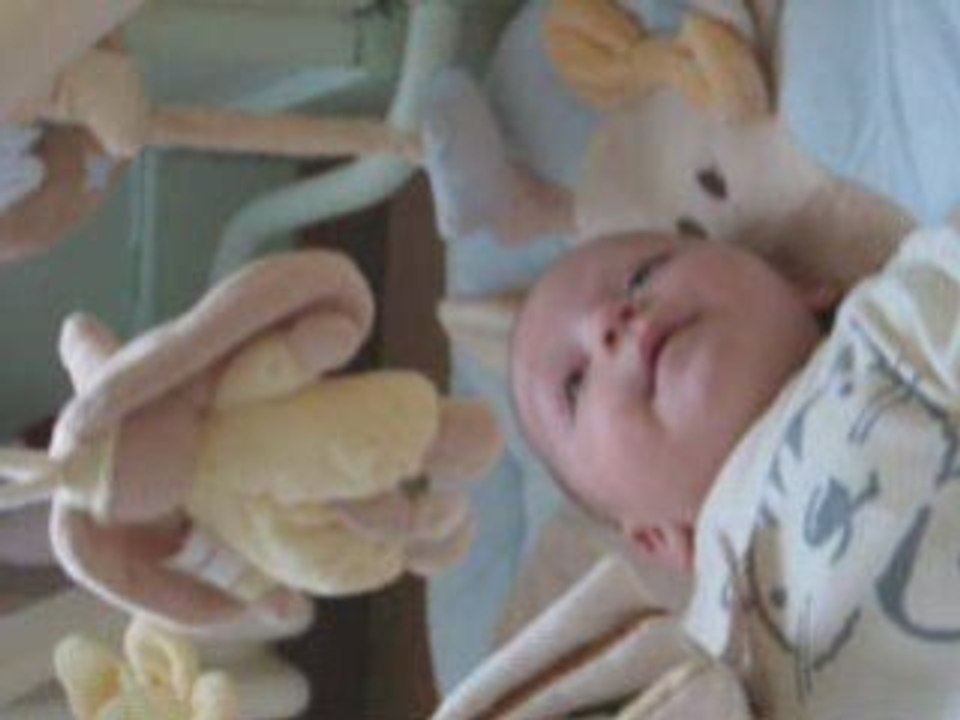 Lucas002