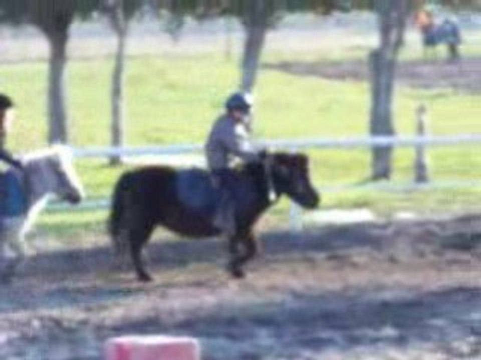 Theo poney 28 janvier 2009