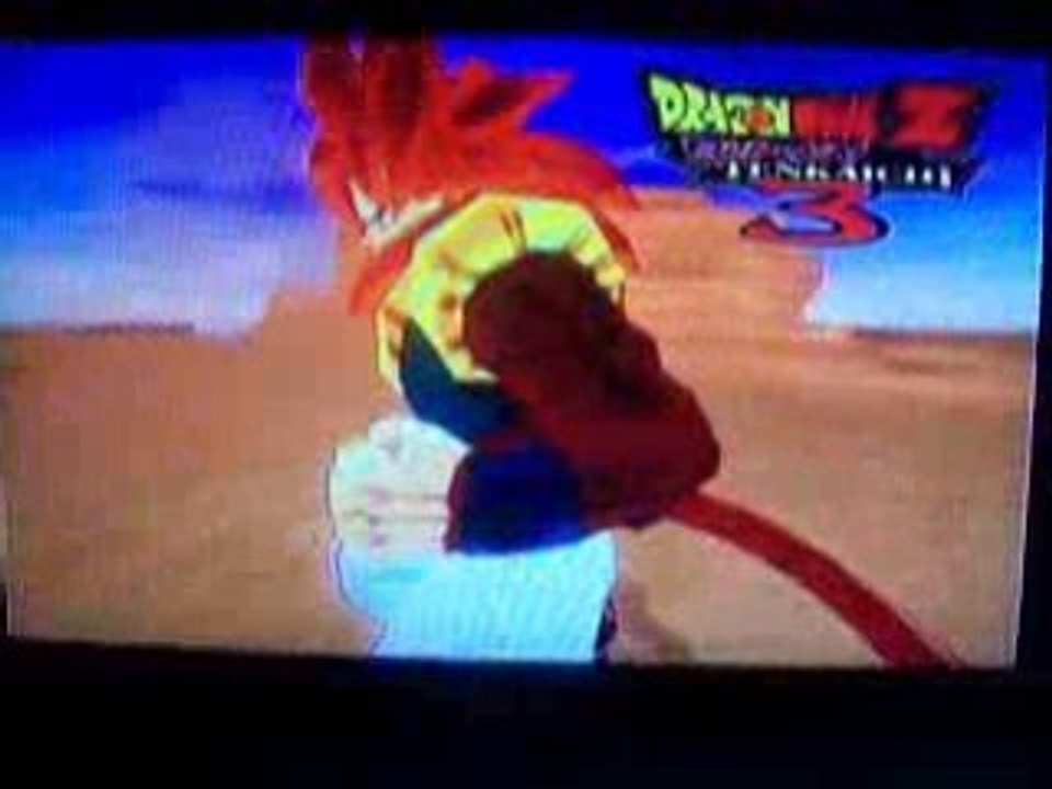 Tenkaichi 3 - 2