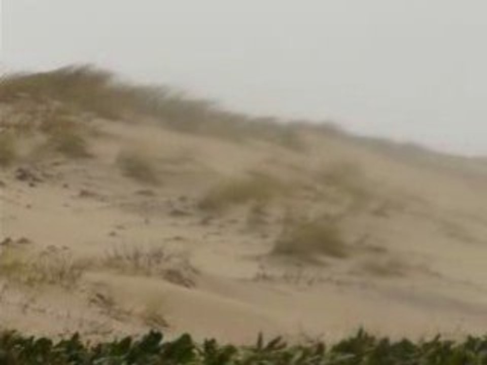 Tempête de sable  Biscarrosse Landes Tempête Klaus