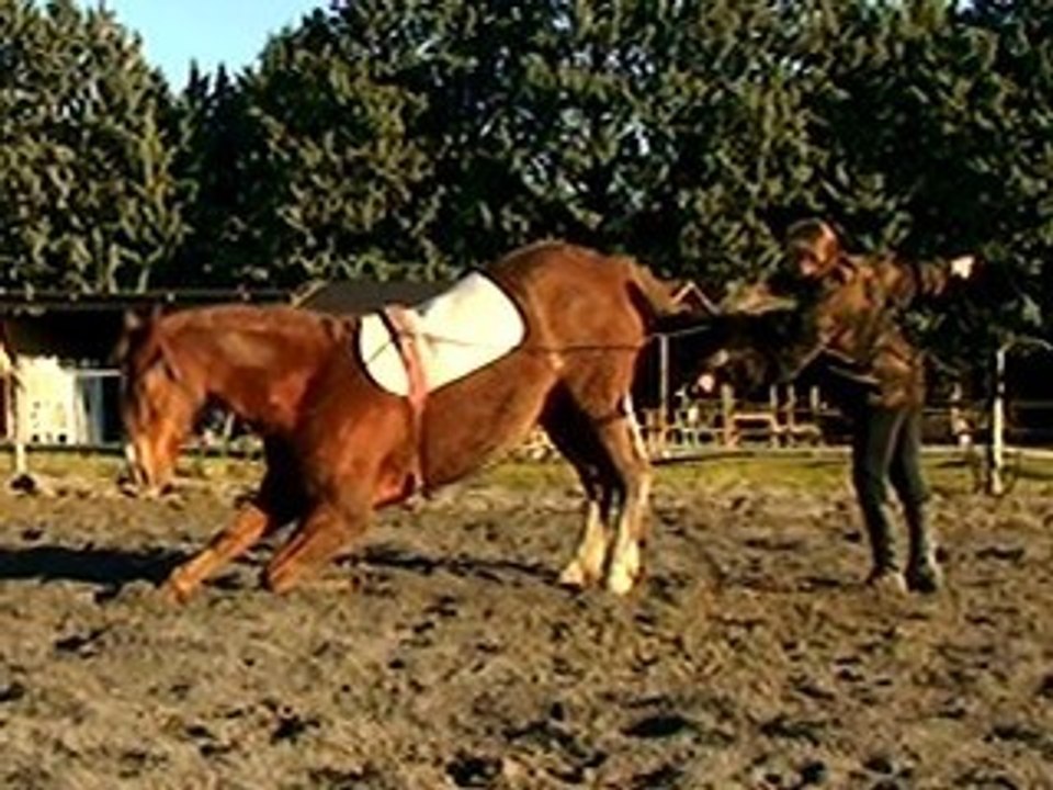 Krak 25.01.09