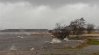 Lac Sanguinet Biscarrosse Landes 10H.Tempête Klaus 170 km/h