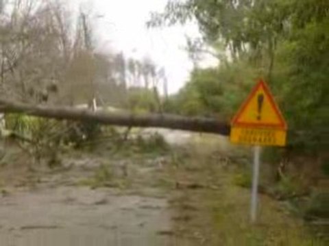 Chaussée dégradée Tempête Klaus Landes Lac de Sanguinet