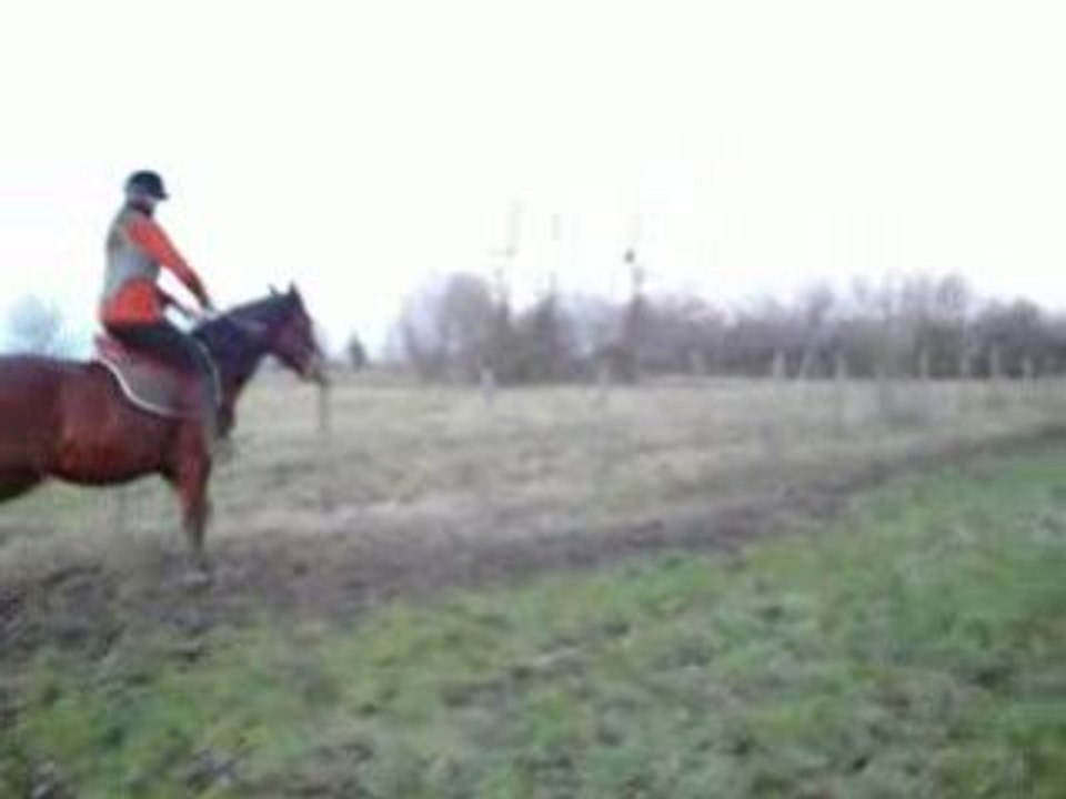 Le grand galop