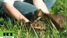 First steps on the grass - very tickly!