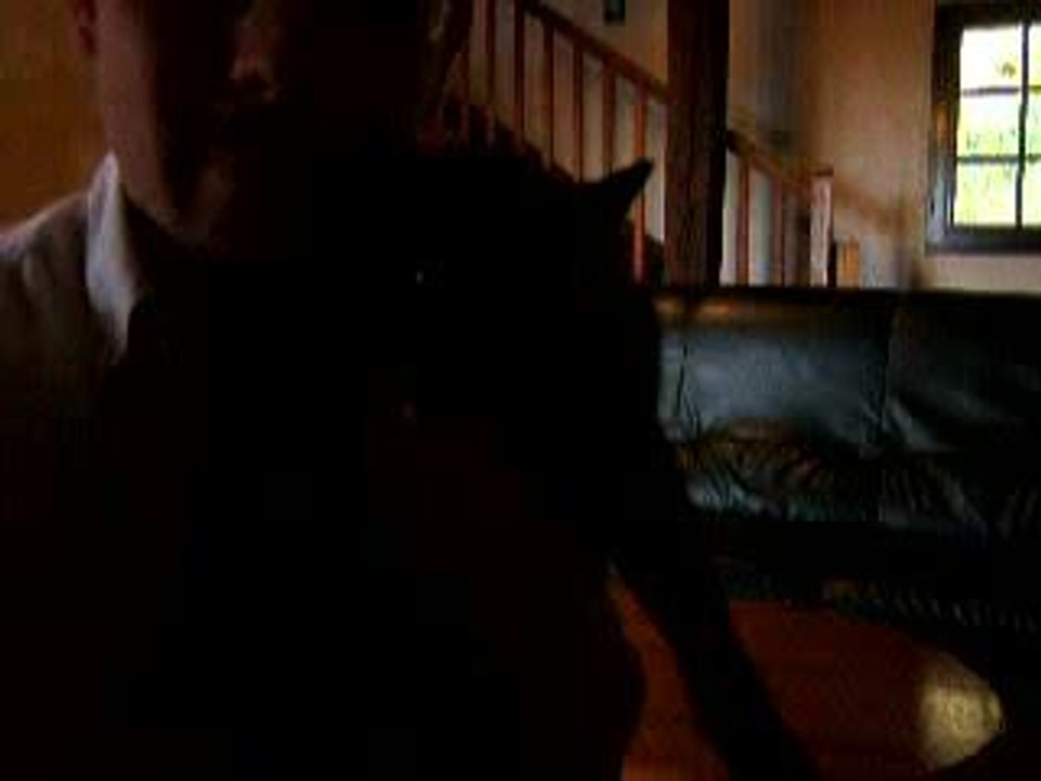 Mon Chat