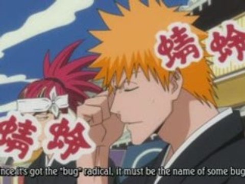 BLEACH 205 PREVIEW VOSTA