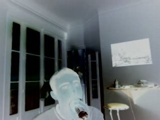 Wiwi égratigne "This is your land"