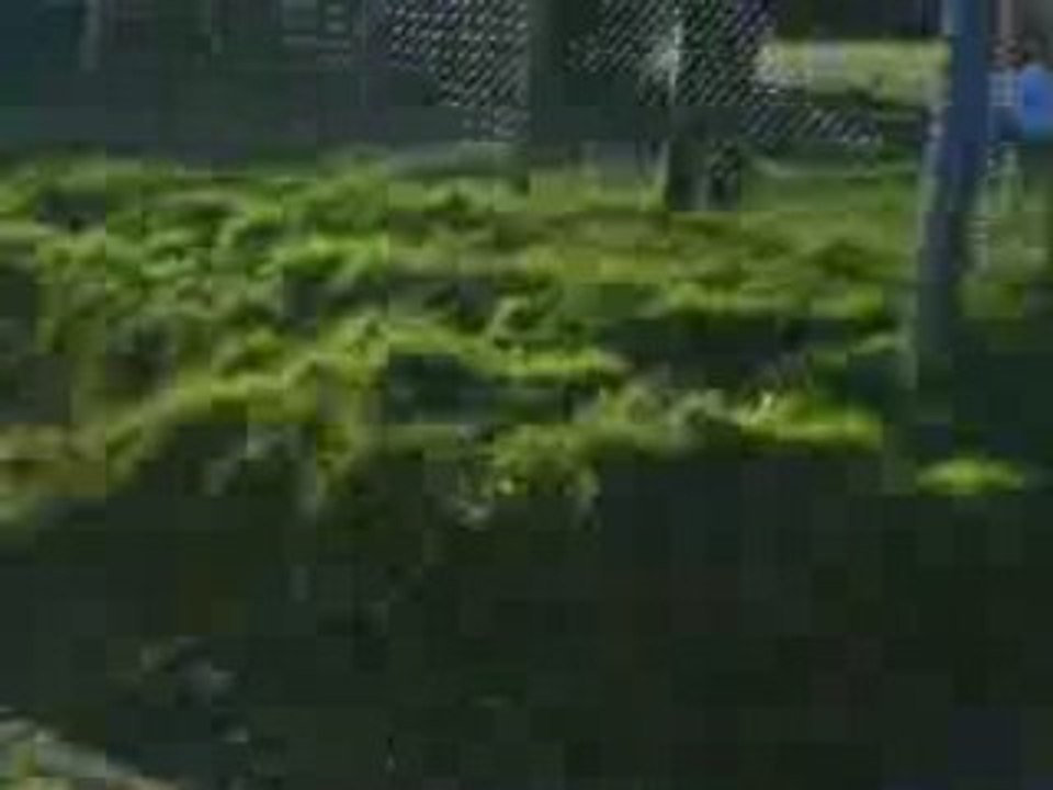 CLIP0017