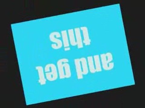 Dogs: Dog Training Tips No Perfect Dog -2