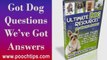 Dogs: Dog Training Tips No Perfect Dog -4