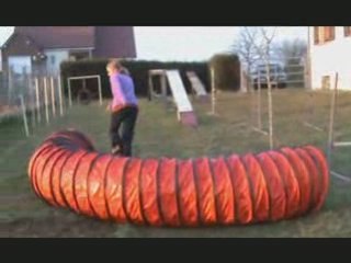 Agility Chips & Elodie