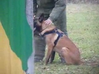 recherche et lancée 6 mois