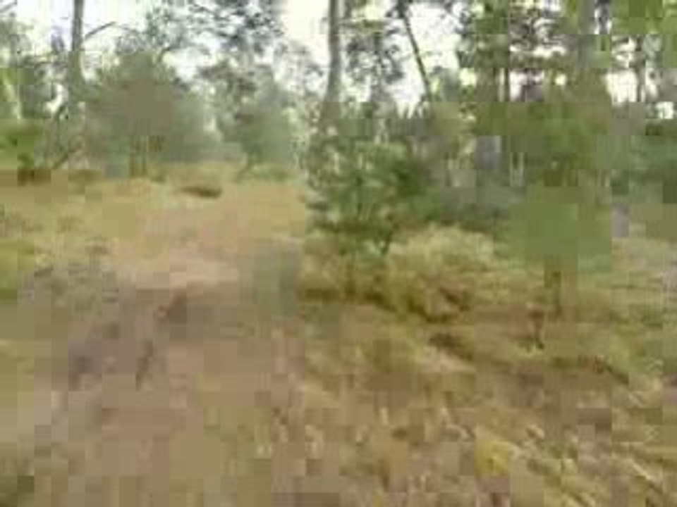V280109_15.14