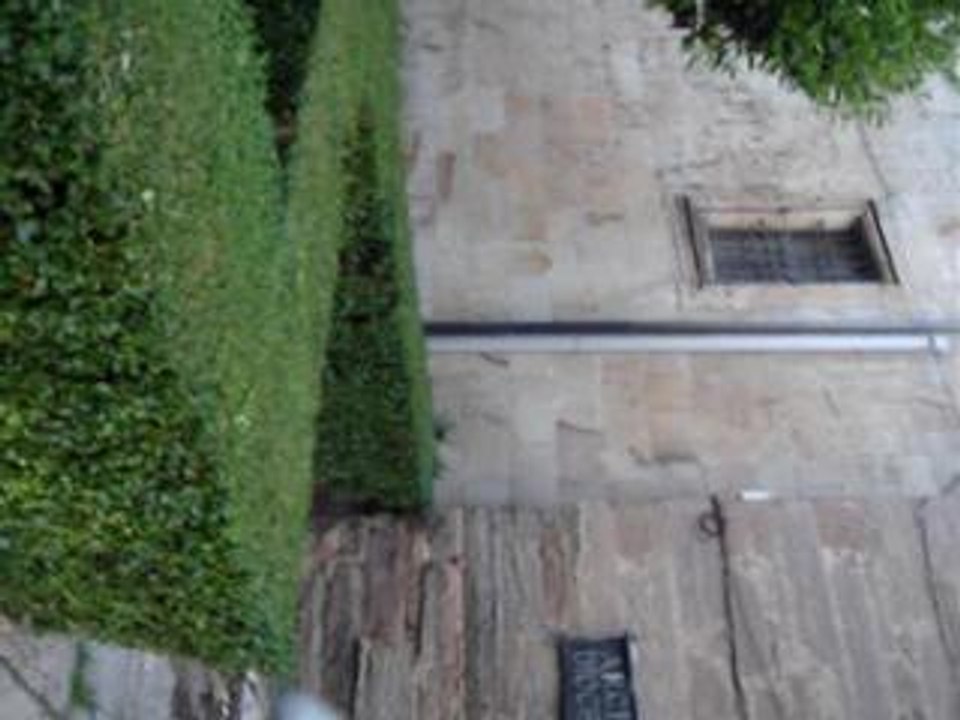 salto raul