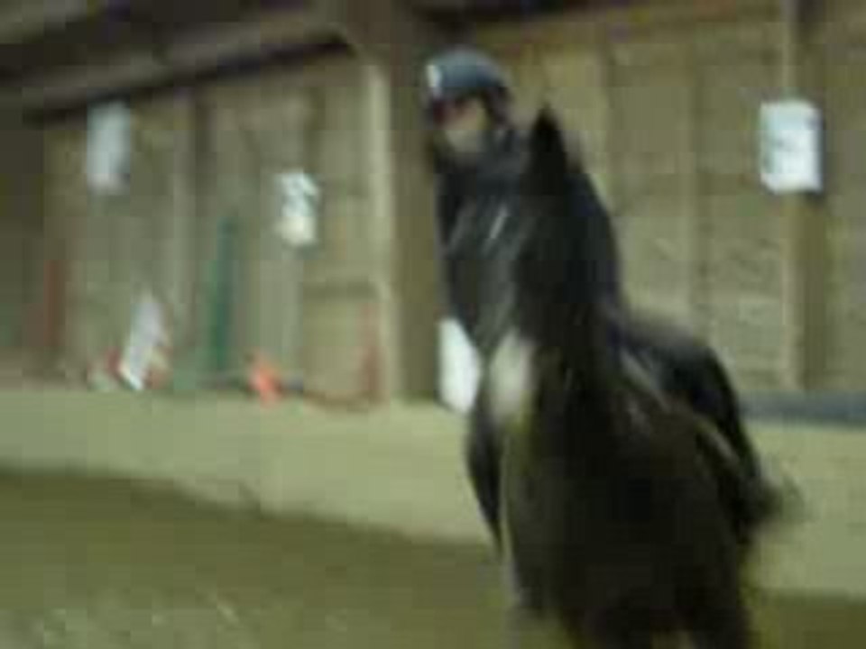 Poney