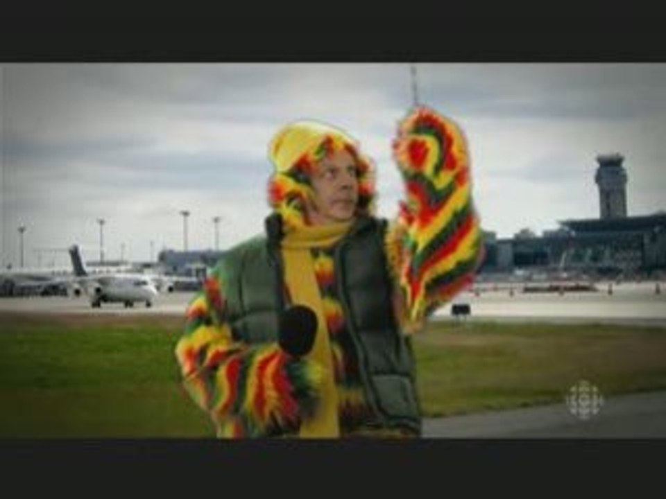 Le perroquet & l'airbus - 3600 secondes d'extase