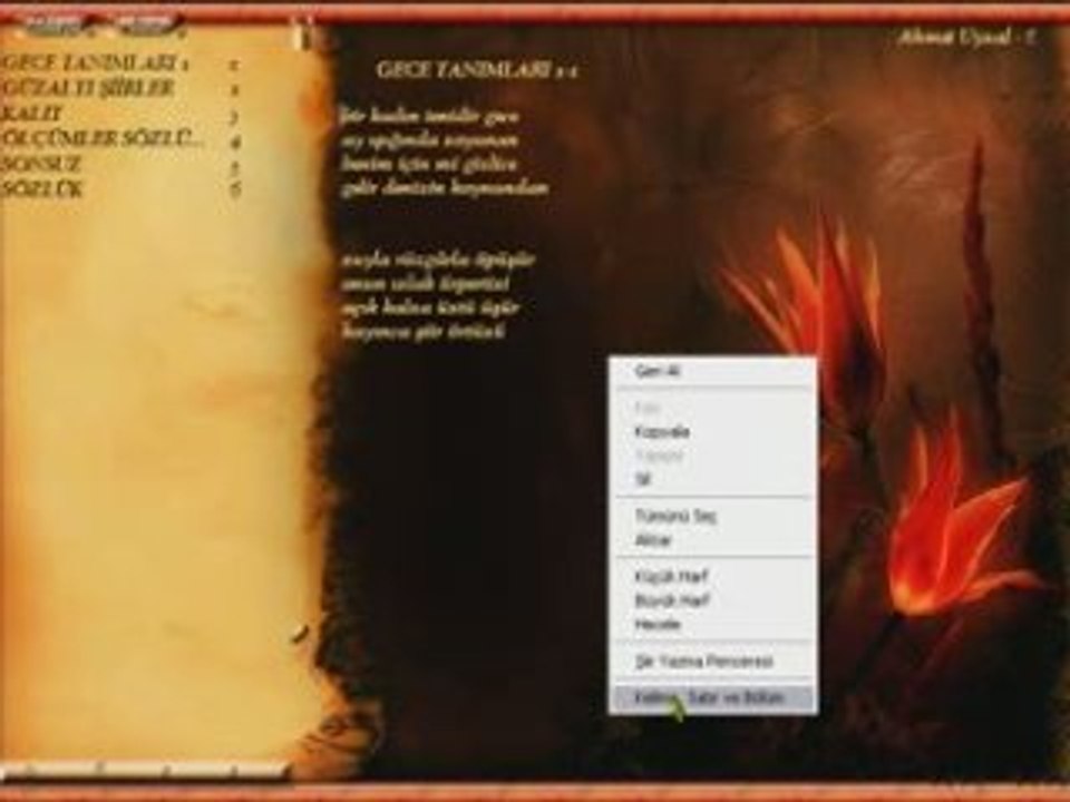 Şiir Kaydet ve Düzenle - ŞiirSEN Programı