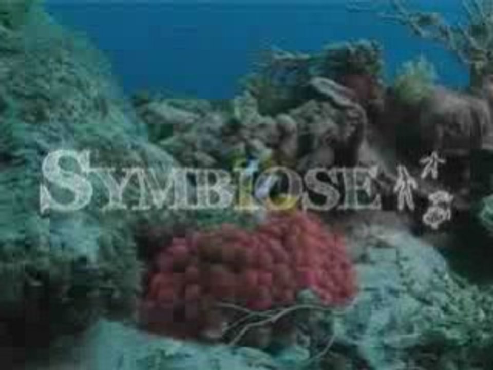 Symbioseclip mpeg1