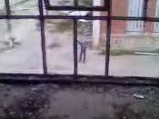 Les ch'tis footeux (17)