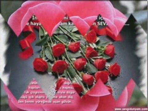 Can Tanem Bu şarkım Sana Sen Benim Herşeyim Fulleglen.com