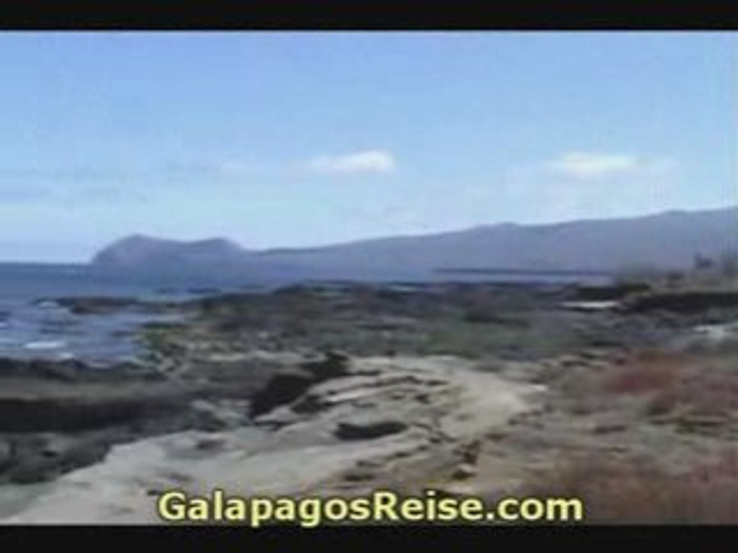 Galapagos travel Night Video