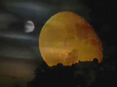 Ayışığı Sonatı (Beethoven)