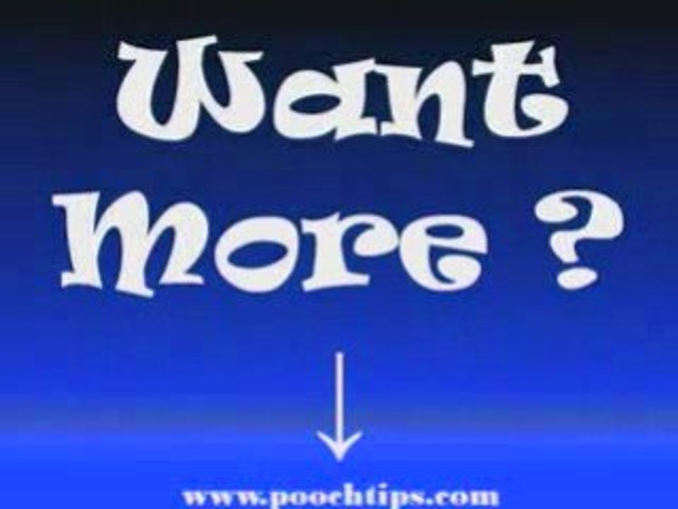 Dogs: Dog Training Tips No Perfect Dog -5