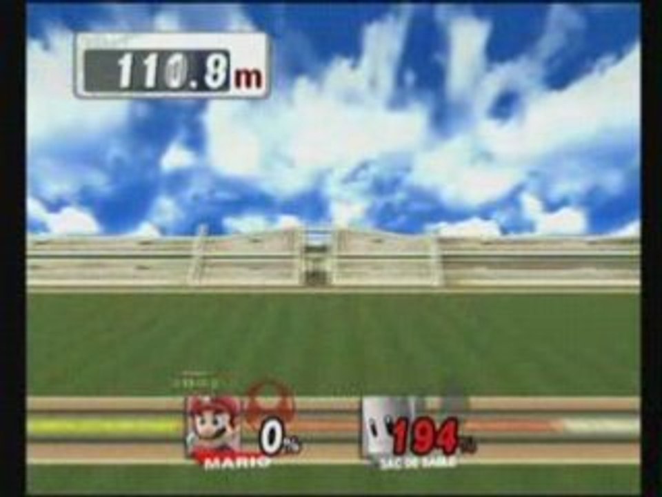 HRC SSBB Mario 770.1m