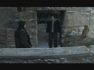 Harry Puter e o  Ovo de Ouro - Redublagem