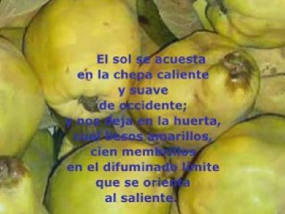 Domina el amarillo