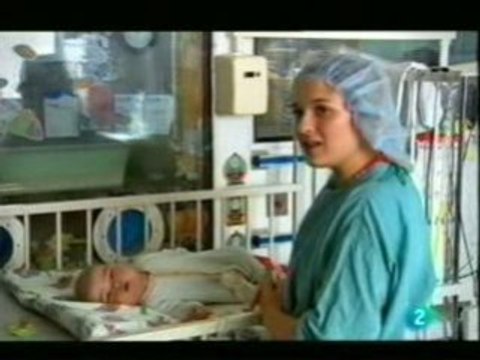 Sindrome IPEX: Trasplante de medula osea