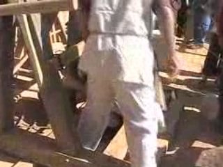 Guédelon-Montée de pierre (2)