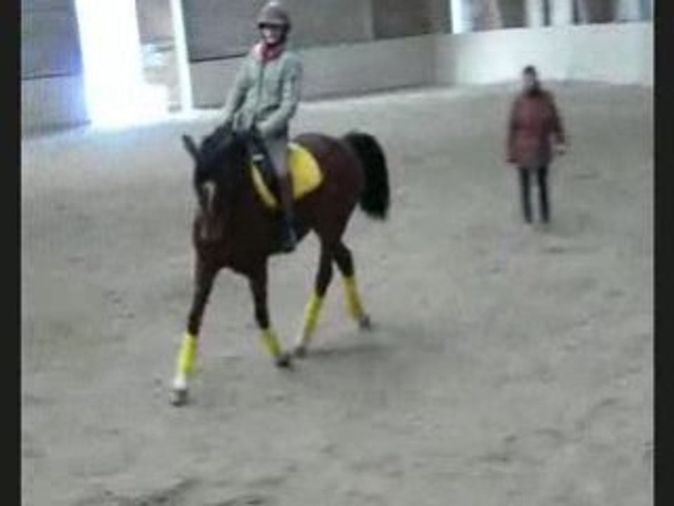 Dressage.trot