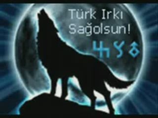 Ali Kinik Bu Sarki