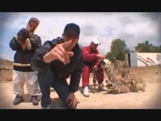 KAÏRA SHOPPING : LOUPS A VENDRE (1,2 tonnes de pression)