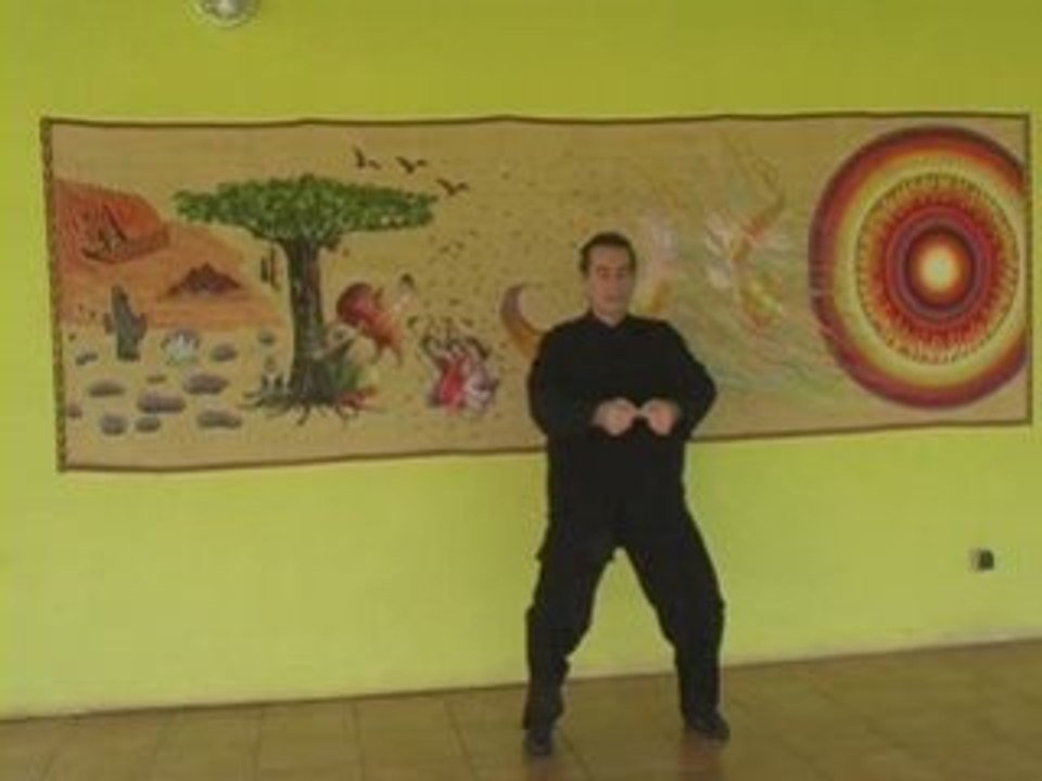 Qi gong des 49