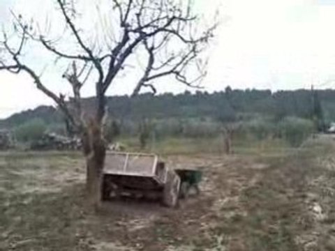 mon loulou qui veut jouer