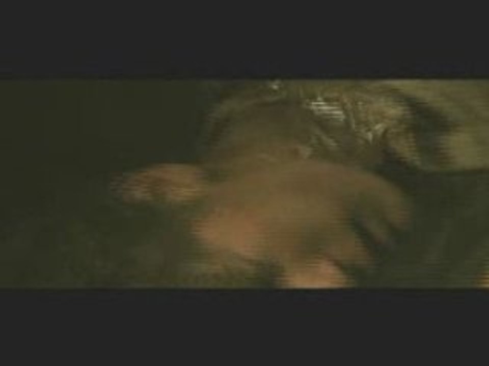 The Burrowers - Teaser [VO]