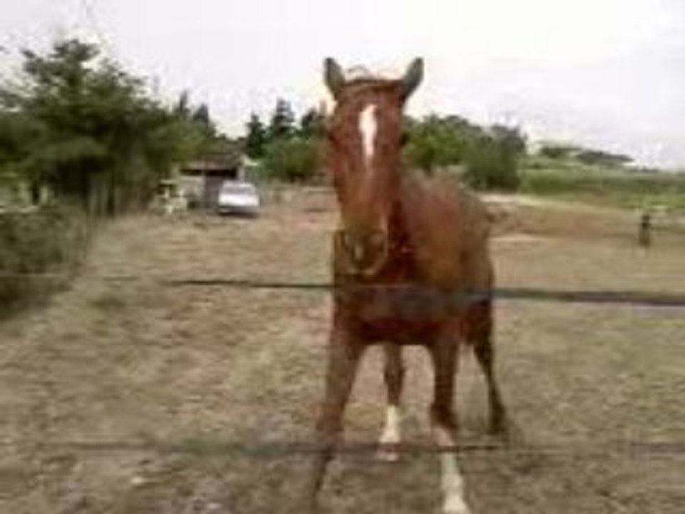 mon loulou qui est tout content de me voirmDR