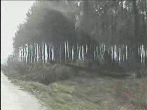 TEMPETE 2009 - Le littoral landais apres le passage de KLAUS