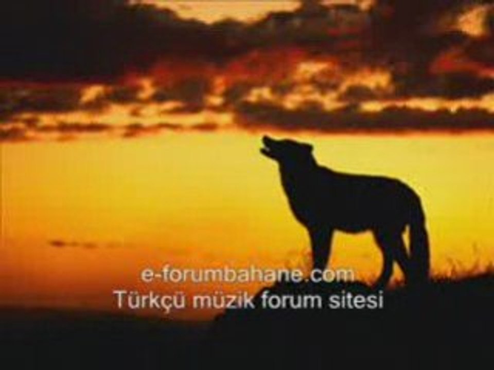 Ali Kinik Kurtlar Sofrasi