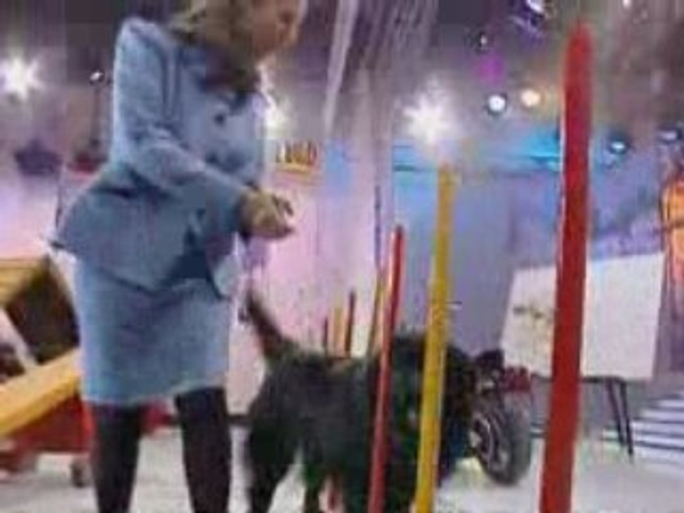 Elle a du chien